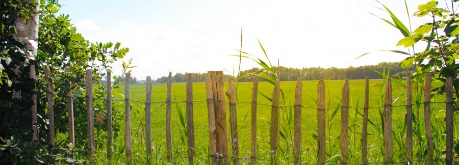 Les performances économiques et environnementales de l’agroécologie