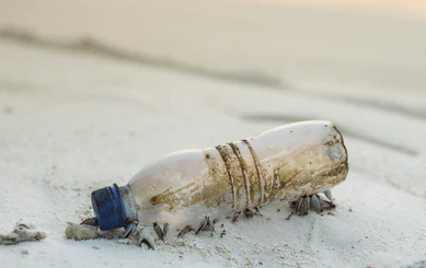 Eugénie Joltreau (BSI Economics) : L'importance économique et environnementale des plastiques