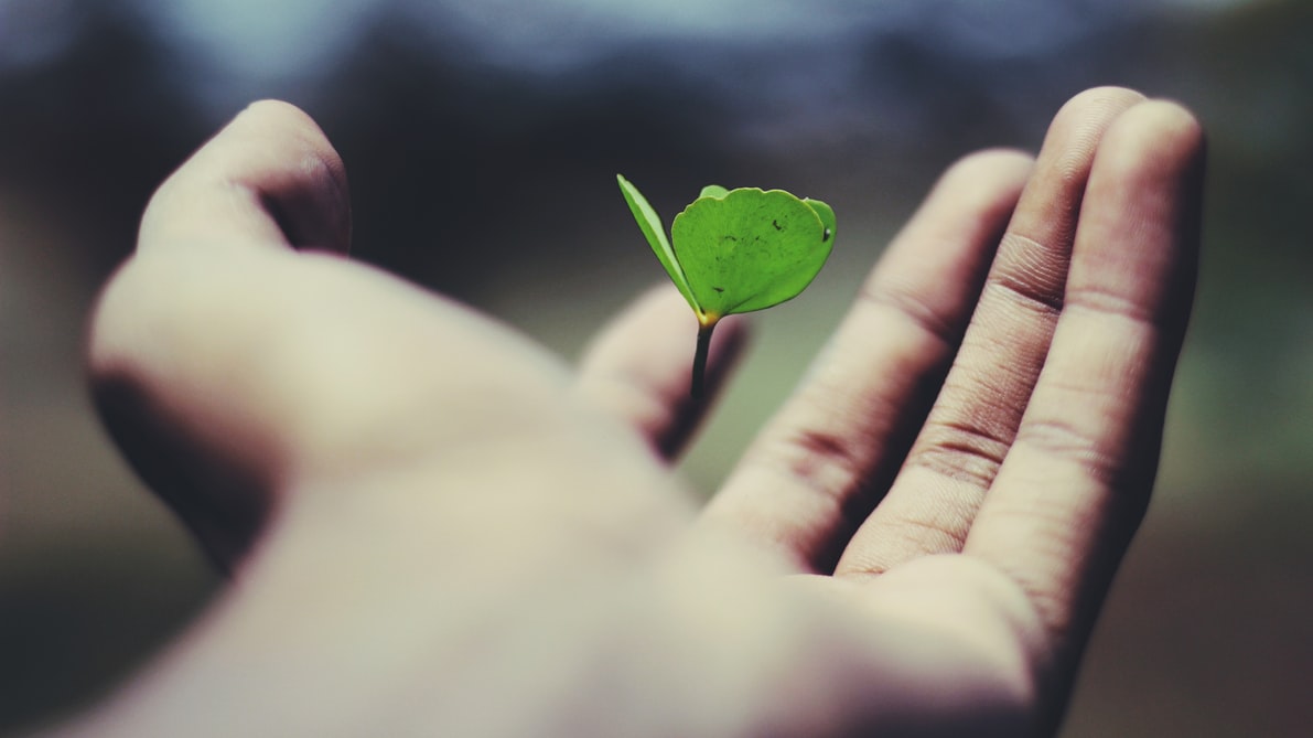 Croissance et environnement  