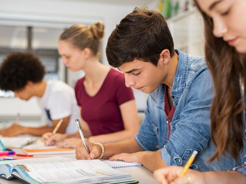 cours SES seconde