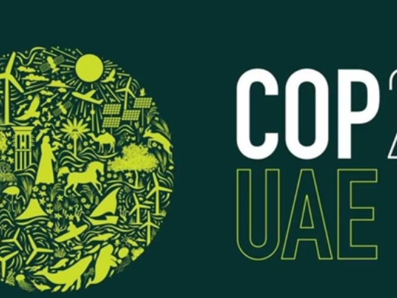 COP 28