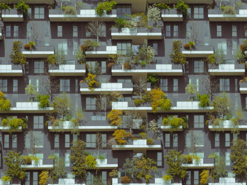 Saint Gobain et l'habitat durable