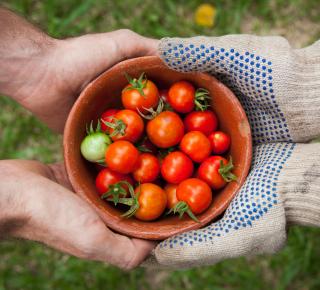 Actu-éco : La politique de soutien à l'agriculture biologique