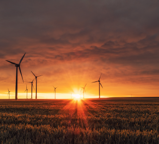Rapport du GIEC : tous nos contenus climat et environnement