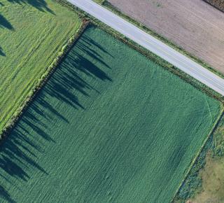 Brief éco : Utilisation des produits phytopharmaceutiques
