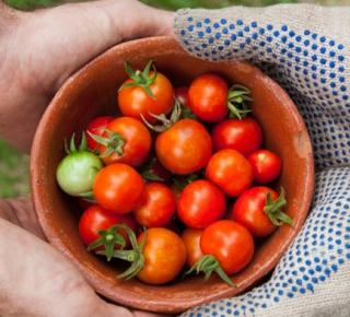 Séquence d'apprentissage 1 : La consommation engagée 