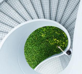 Module n°6 : Innovation verte 