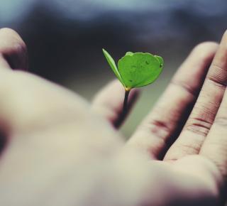 Croissance et environnement  
