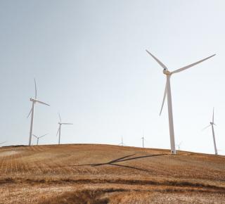 Cecilia Bellora : « Le commerce peut être un levier dans les négociations climatiques »