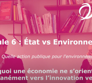 Module 6 : État vs. Environnement - Philippe Aghion et Céline Antonin