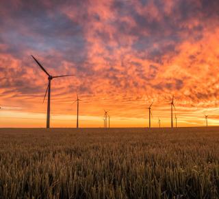 Transition environnementale : Comment accélérer (vraiment) la transition écologique des entreprises ?