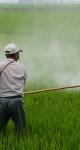 Actu-éco : Les ventes de pesticides en France