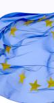Le pacte budgétaire européen : la stabilité budgétaire au risque de la croissance ?
