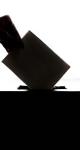 Notion_Suffrage_Censitaire_Melchior_Site