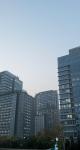 Firmes multinationales    