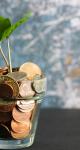 Quiz de la semaine : Attractivité, financement climatique et Banque de France